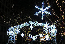 フェスティバルへの出店実績紹介ページへ